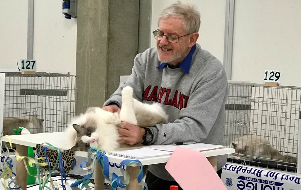 /images/Galeria/Kiállítások (Cat shows)/16265359_376863899347977_6236194534915066271_n.jpg